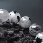 Black Rutilated Quartz & Colorful Glass Bead Bracelet | Ethnic Harmony 2 - Buddha Bodhis Black Rutilated Quartz & Colorful Glass Bead Bracelet