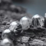 Black Rutilated Quartz & Ebony Wood Bracelet | Raw Earth Protection 2 - Buddha Bodhis Black Rutilated Quartz & Ebony Wood Bracelet