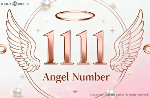 Are You Seeing the 1111 Angel Number Here's Its Powerful Meaning