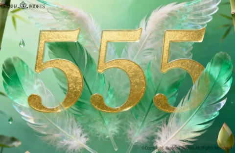 Are You Seeing the 555 Angel Number A Sign of Major Change
