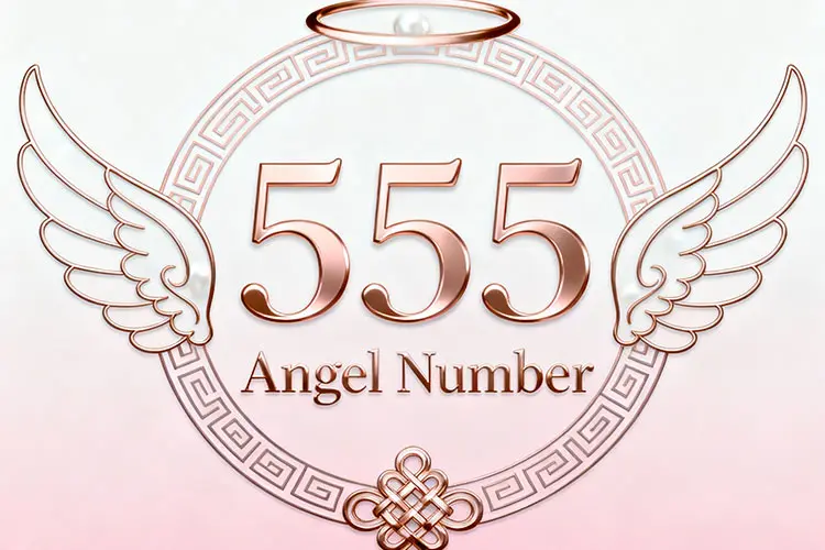 Are You Seeing the 555 Angel Number? A Sign of Major Change 2 - Buddha Bodhis Are You Seeing the 555 Angel Number A Sign of Major Change