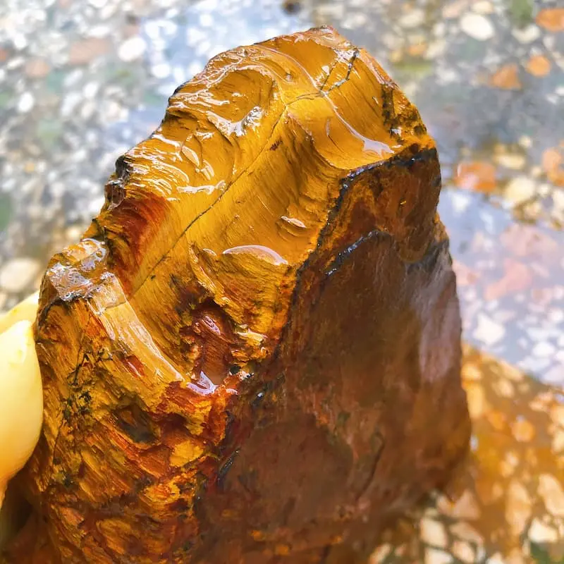 Tiger's Eye and Ebony Bracelet | Minimalist Focus Jewelry - Buddha Bodhis Natural Golden Tiger Eye Stone for Confidence