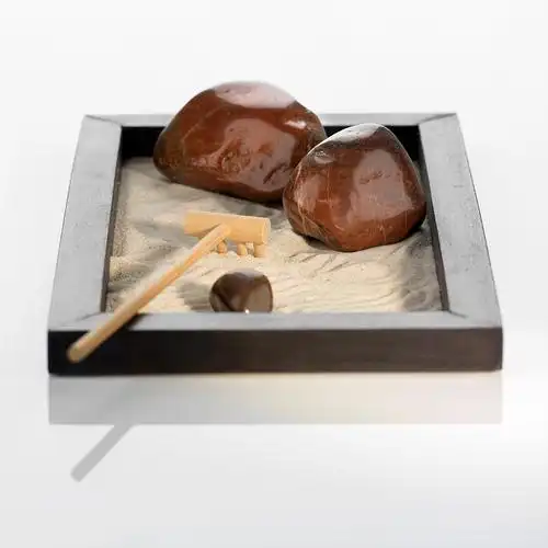 1 - Buddha Bodhis Using a mini zen garden for active mindfulness meditation