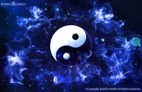 Your 2026 Horoscope & Feng Shui Forecast A Practical Guide for All 12 Zodiac Signs