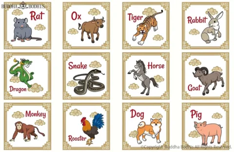 The 12 Animals of the Chinese Zodiac: A Guide to Their Meanings, Personalities, and Origin Story