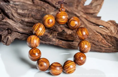 The Spiritual Meaning of Thuja Sutchuenensis Symbolism of an Ancient, Resilient Wood