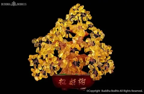 Where to Place Your Citrine Tree in 2026 for Business Success