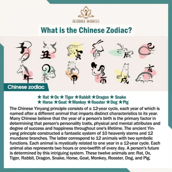 Natural Blue Aura Jadeite 12 Chinese Zodiac Pendant | Personalized Soul Guardian & 2026 Luck 6 - Buddha Bodhis Buddha Bodhis Chinese Zodiac Jade Year of the Horse Luck Rope Necklace Pendant