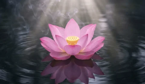 lotus-flower-spiritual-symbolism