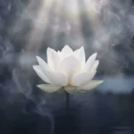 Understanding the White Lotus Flower: Symbolism and the Path to Purity 10 - Buddha Bodhis white-lotus-flower-purity-symbol