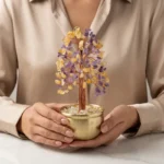 Ametrine Crystal Money Tree – Prosperity, Wisdom & Harmonious Energy 1 - Buddha Bodhis Ametrine Crystal Money Tree – Prosperity, Wisdom & Harmonious Energy-1