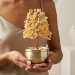 Citrine Crystal Money Tree for Wealth & Prosperity 1 - Buddha Bodhis Citrine Crystal Money Tree for Wealth & Prosperity-1