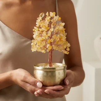 Citrine Crystal Money Tree for Wealth & Prosperity-1